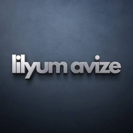 Lilyum Elektrik logosu